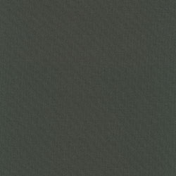 Swatch image for Planum 0971